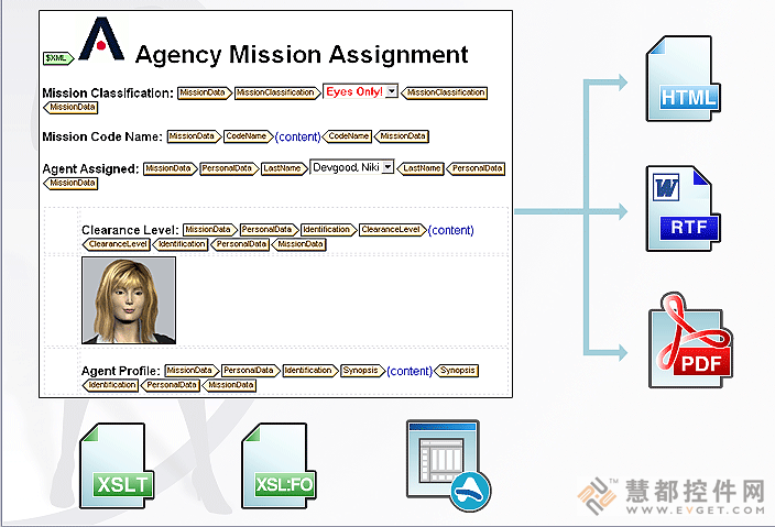 非凡的Altova StyleVision 同源输出HTML、PDF、RTF