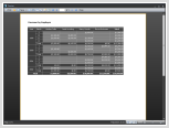 FASTREPORT.NET报表控件功能详解 – 预览、打印和导出 - 预览窗口