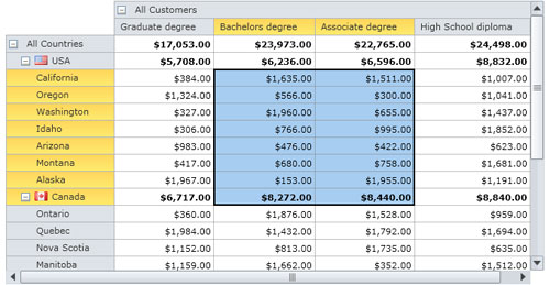 Silverlight Pivot Table Control