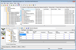 SourceGear Vault Professional Client